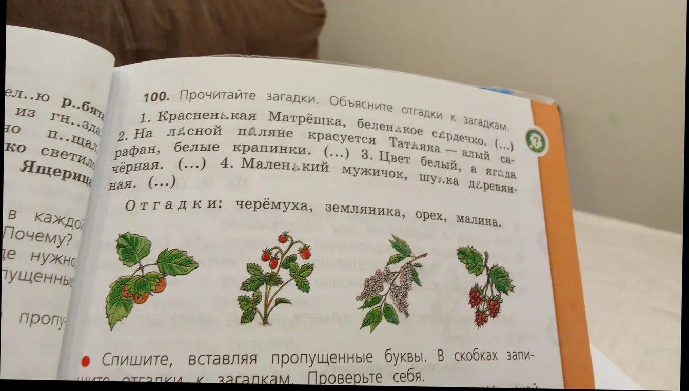 Прочитай загадки и объясни отгадки к загадкам.