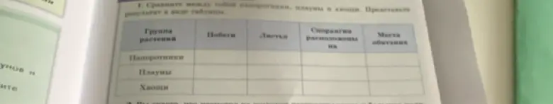Сравни между собой папоротники, плауны и хвощи и представь результат в виде таблицы.