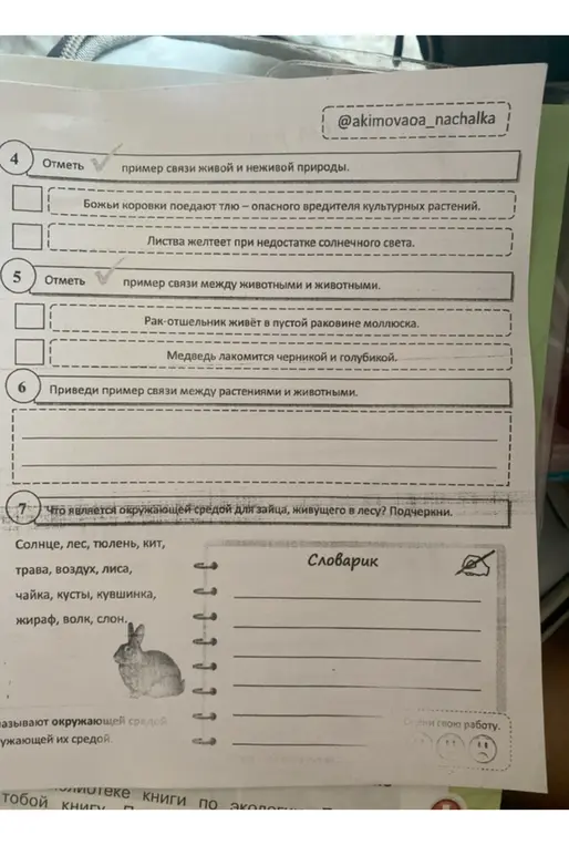 Отметь пример связи живой и неживой природы, между животными и животными, приведи пример связи между растениями и животными, что является окружающей средой для зайца, живущего в лесу?