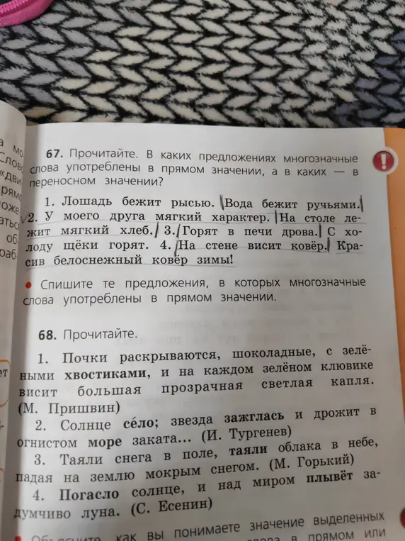 Определи, в каких предложениях многозначные слова употреблены в прямом значении, а в каких — в переносном.