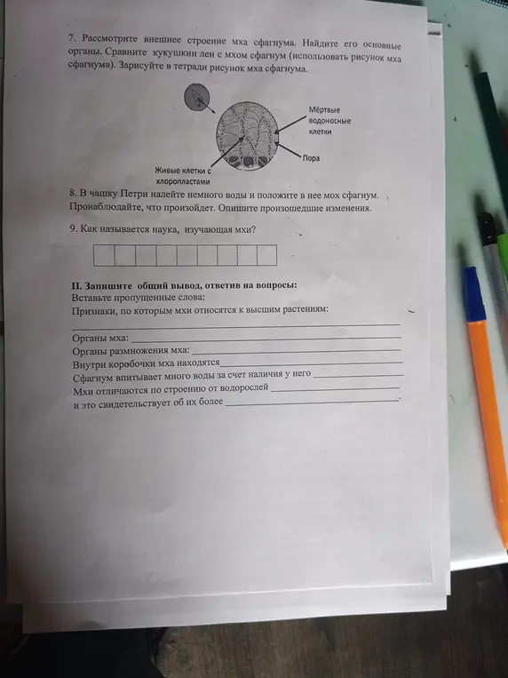Рассмотри внешнее строение мха сфагнума, найди его основные органы, сравни кукушкин лен с мхом сфагнум, зарисуй в тетради рисунок мха сфагнума, опиши произошедшие изменения, ответь на вопросы и вставь пропущенные слова.
