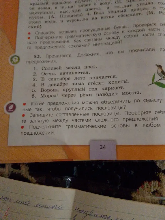 Прочитай предложения и докажи, что ты их прочитал, подчеркни грамматические основы в любом предложении.