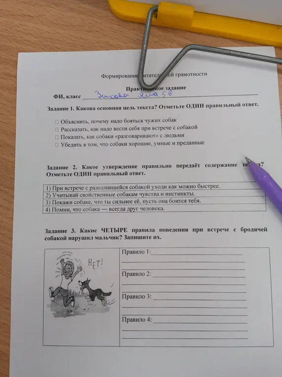 Определи основную цель текста, какое утверждение правильно передает содержание текста и какие четыре правила поведения при встрече с бродячей собакой нарушил мальчик.