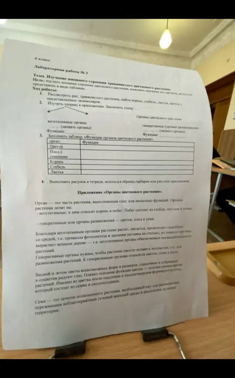 Заполни таблицу «Функции органов цветкового растения» и закончи схему.