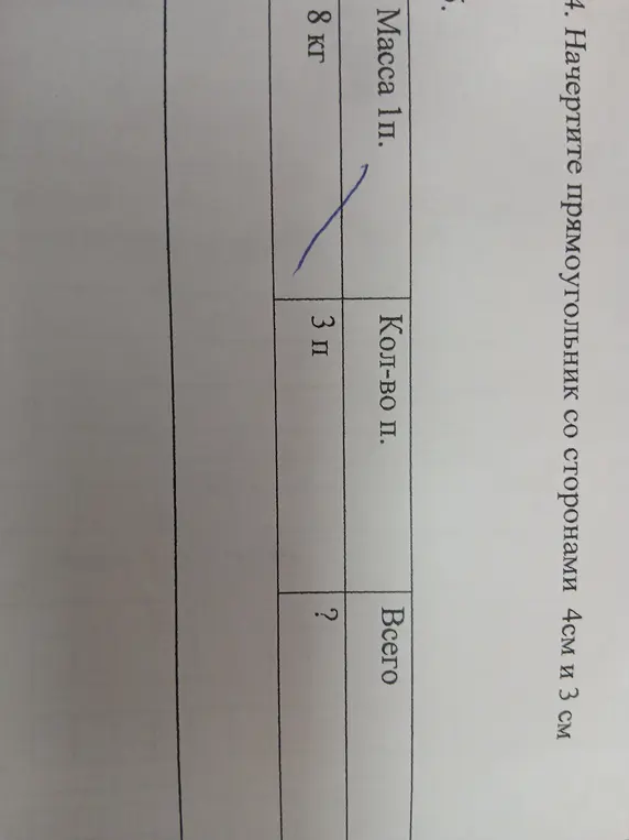 Начерти прямоугольник со сторонами 4см и 3 см и вычисли общую массу 3 пакетов, если масса одного 8 кг.