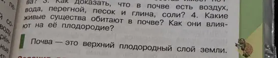 Какие живые существа обитают в почве и как они влияют на её плодородие?