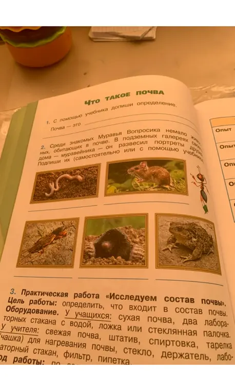 С помощью учебника допиши определение почвы и подпиши названия животных, обитающих в почве.