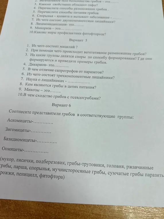 Соотнеси представителей грибов в соответствующие группы.