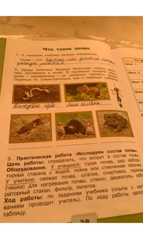 С помощью учебника допиши определение. Подпиши названия животных. Определи, что входит в состав почвы.