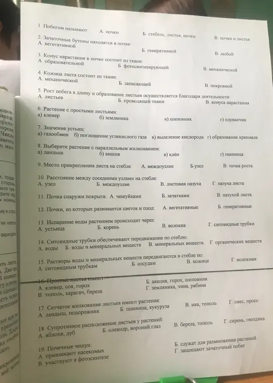 Ответь на вопросы по биологии про растения.