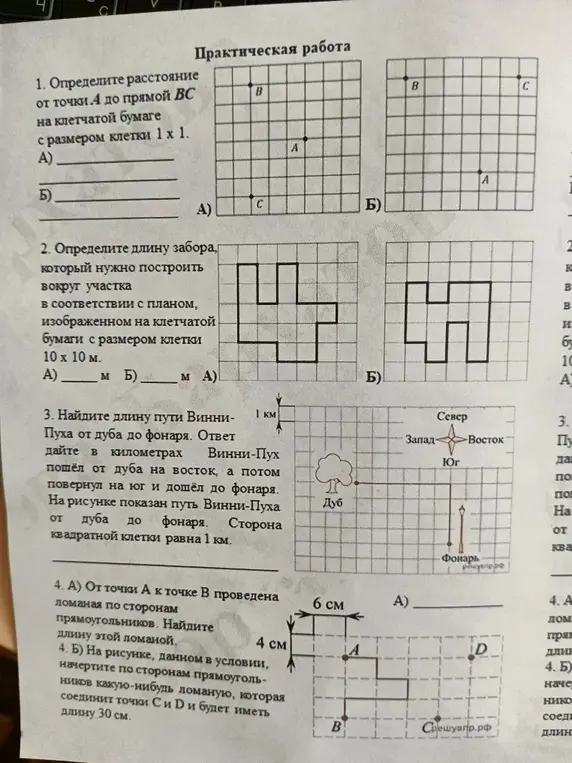 Определи расстояние от точки А до прямой ВС на клетчатой бумаге; определи длину забора; найди длину пути Винни-Пуха; найди длину ломаной.