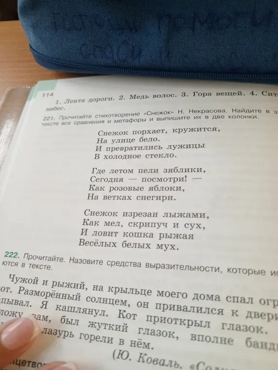 Прочитай стихотворение «Снежок» Н. Некрасова, найди в этом тексте все сравнения и метафоры и выпиши их в две колонки; прочитай текст «Чужой и рыжий...», назови средства выразительности, которые используются в тексте.