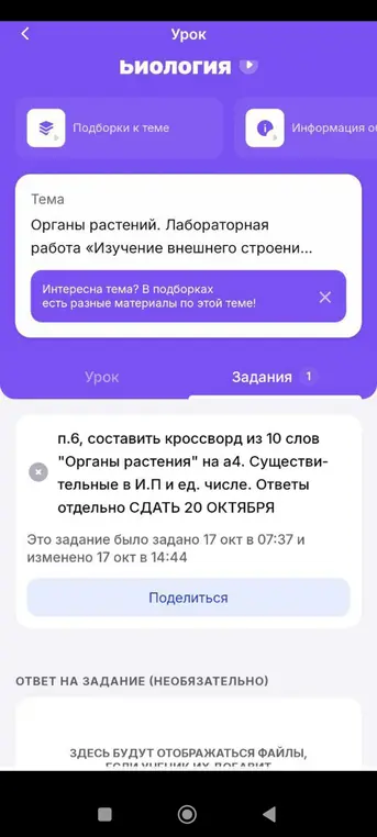 Составь кроссворд из 10 слов "Органы растения" на а4. Существительные в И.П и ед. числе.