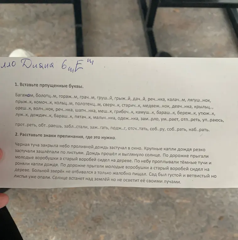 Вставь пропущенные буквы и расставь знаки препинания, где это нужно.