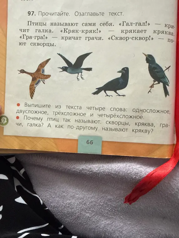 Выпиши из текста четыре слова: односложное, двусложное, трёхсложное и четырёхсложное.