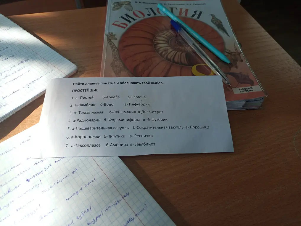 Найди лишнее понятие и обоснуй свой выбор в каждой строке.