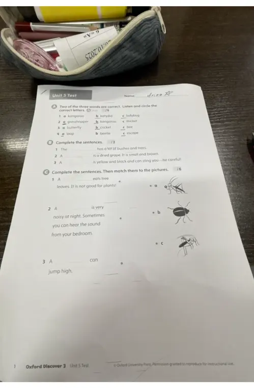 Выполни упражнения по английскому языку.
