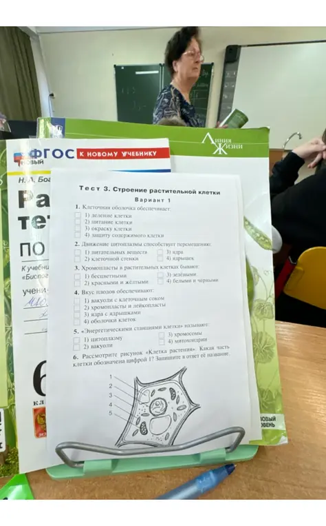 Ответь на вопросы теста про строение растительной клетки.