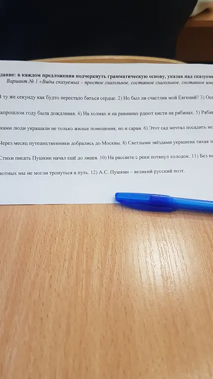 В каждом предложении подчеркни грамматическую основу, указав над сказуемым вид сказуемого.