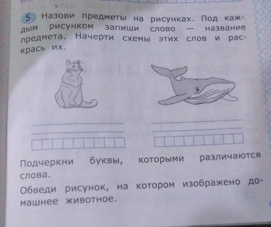 Назови предметы на рисунках, под каждым рисунком запиши слово - название предмета, начерти схемы этих слов и раскрась их. Подчеркни буквы, которыми различаются слова. Обведи рисунок, на котором изображено домашнее животное.