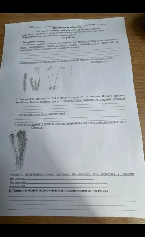 Выполни задания по изучению внешнего строения мхов.
