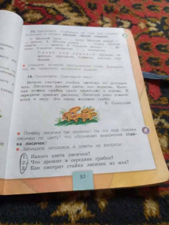 Запиши заголовок и ответы на вопросы про лисички.