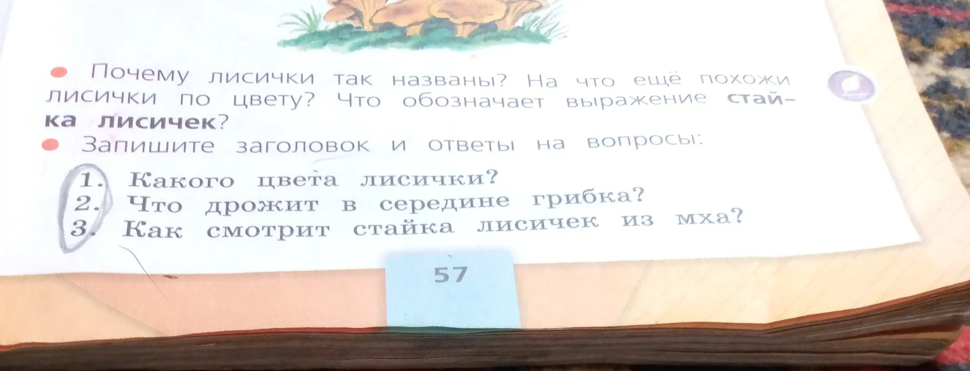 Ответь на вопросы про лисички: какого они цвета, что дрожит в середине грибка, как смотрит стайка лисичек из мха?