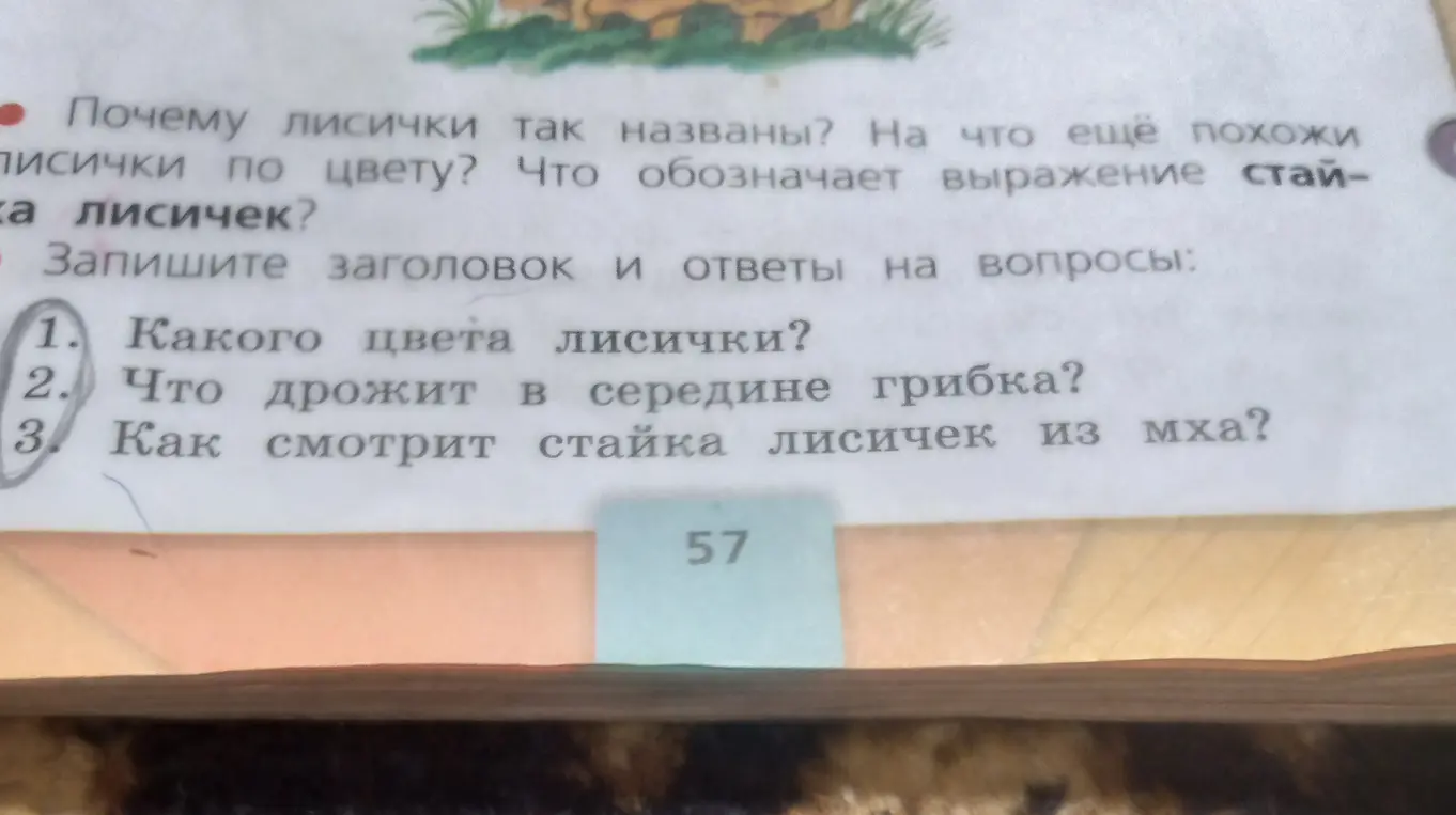 Ответь на вопросы о лисичках: какого они цвета, что дрожит в середине грибка, как выглядит стайка лисичек из мха.