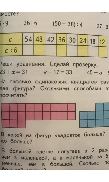 Заполни таблицу, реши уравнения и ответь на вопросы про квадраты и попугаев.
