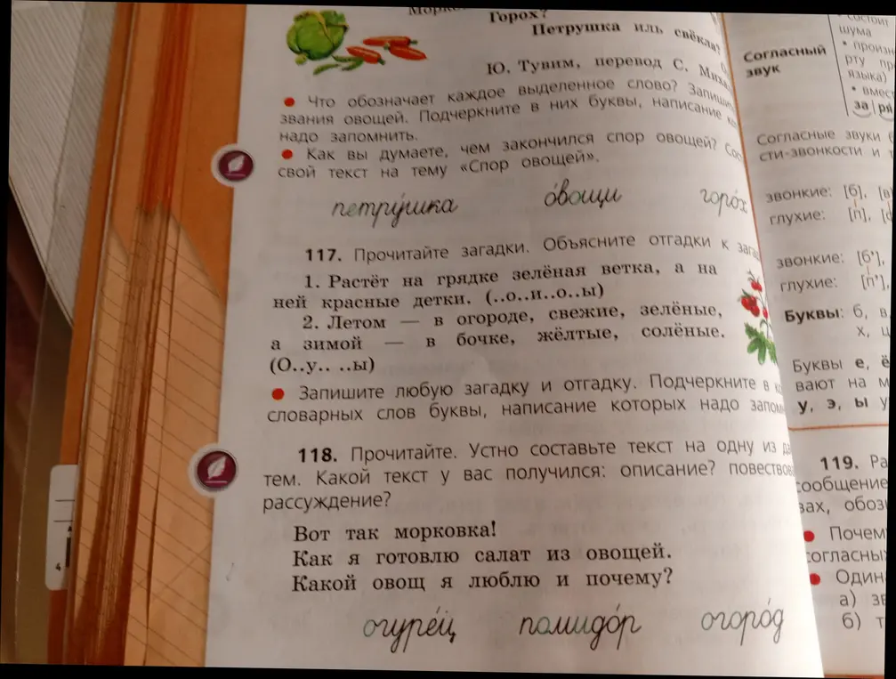 Прочитай загадки и объясни отгадки, устно составь текст на одну из данных тем.