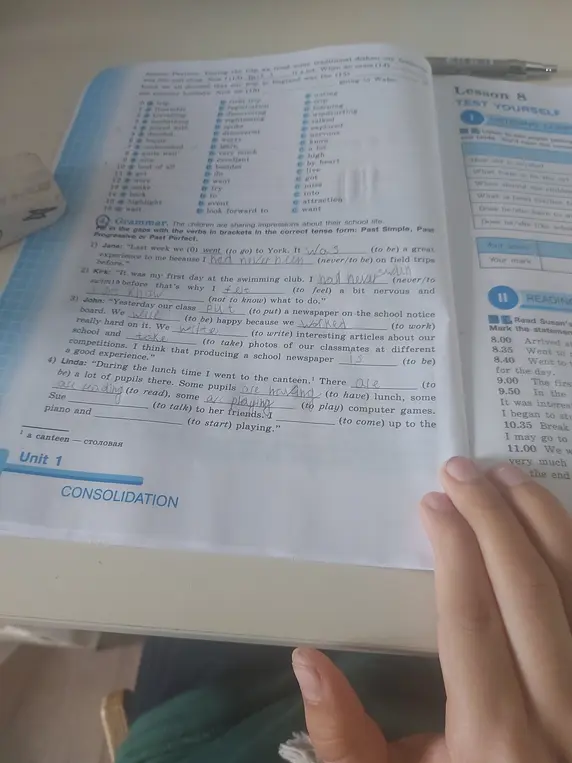 Заполни пропуски глаголами в скобках в правильной форме: Past Simple, Past Progressive или Past Perfect.
