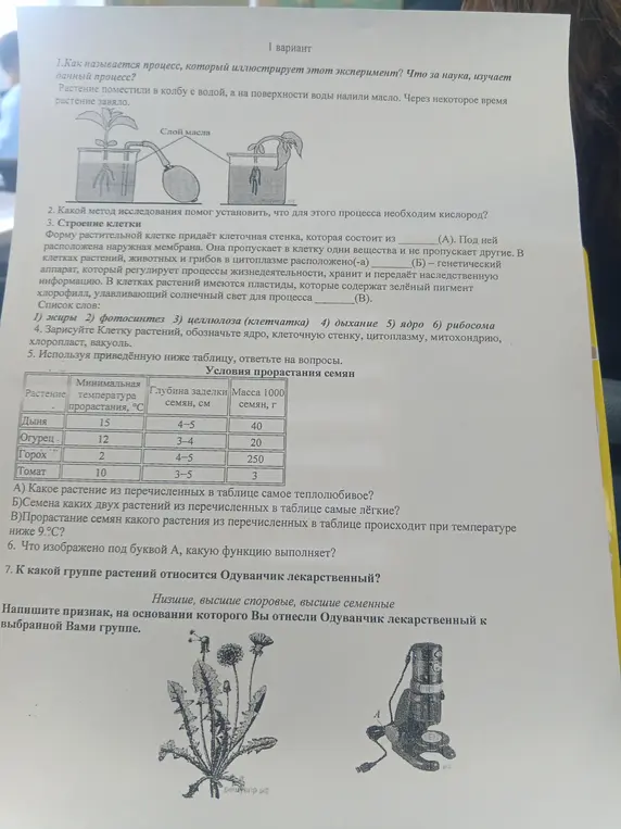 Ответь на вопросы по биологии и ботанике.