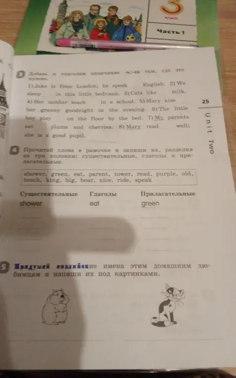 Добавь к глаголам окончание -s/-es, прочитай слова и запиши их, разделив на три колонки: существительные, глаголы и прилагательные, придумай английские имена домашним любимцам и напиши их под картинками.