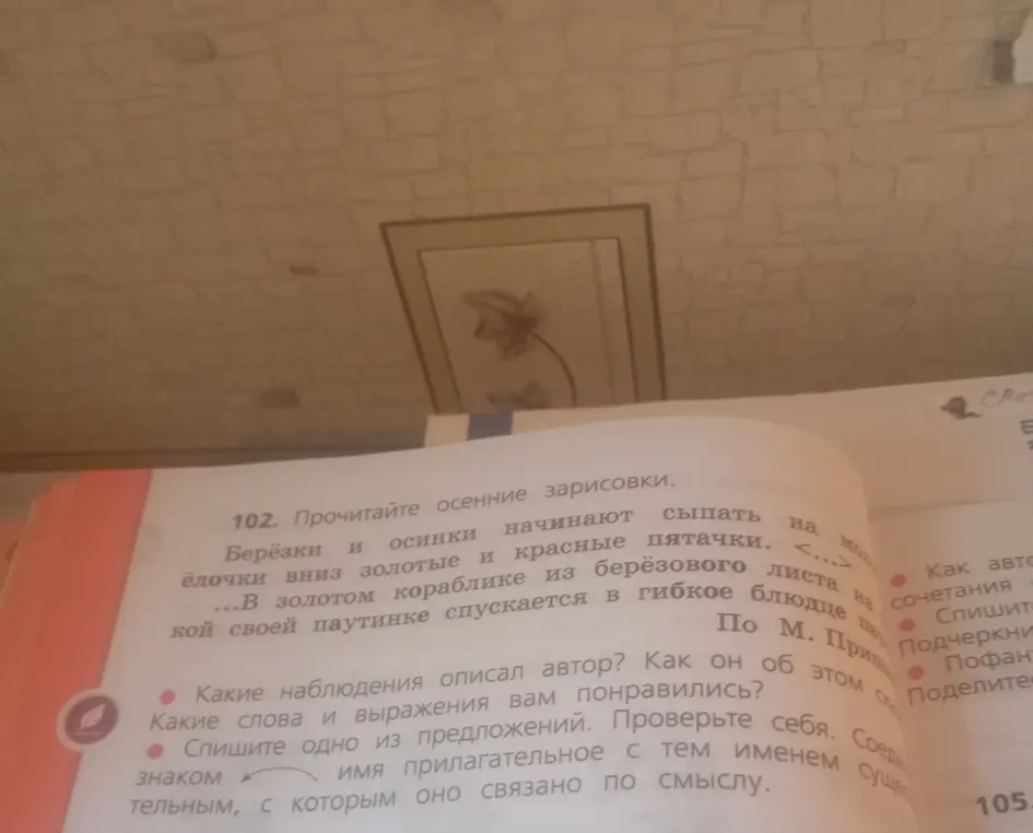 Прочитай осенние зарисовки, ответь на вопросы и спиши одно из предложений.