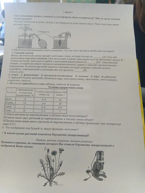 Ответь на вопросы по биологии про процесс в эксперименте, метод исследования, строение клетки, таблицу с условиями прорастания, микроскоп и группу растений одуванчик.