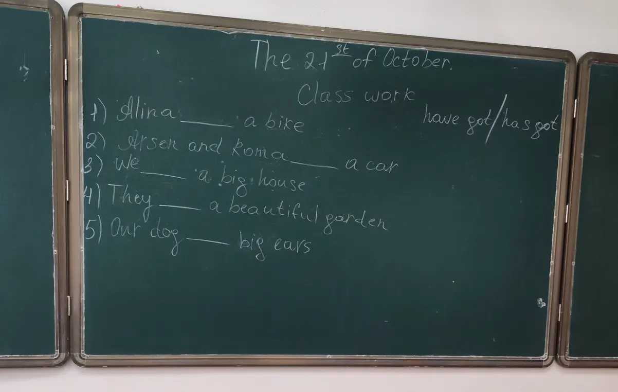 Заполни пропуски, используя have got/has got.