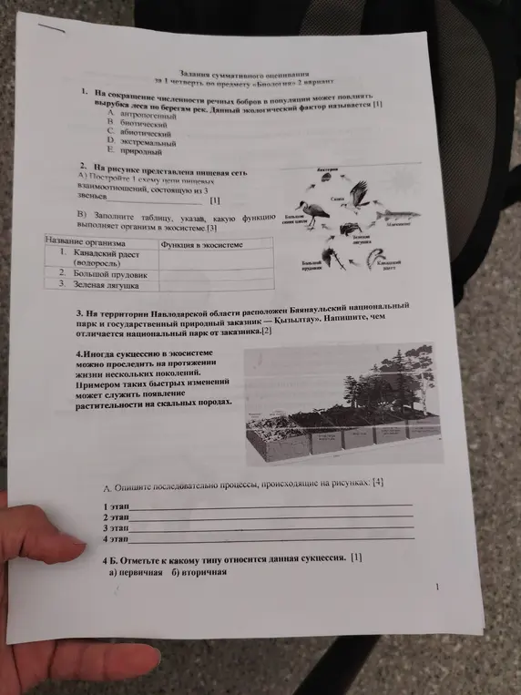 Ответь на вопросы по биологии, включая выбор экологического фактора, построение пищевой цепи, заполнение таблицы функций организмов в экосистеме, определение различий между национальным парком и заказником, описание этапов сукцессии и определение типа сукцессии.