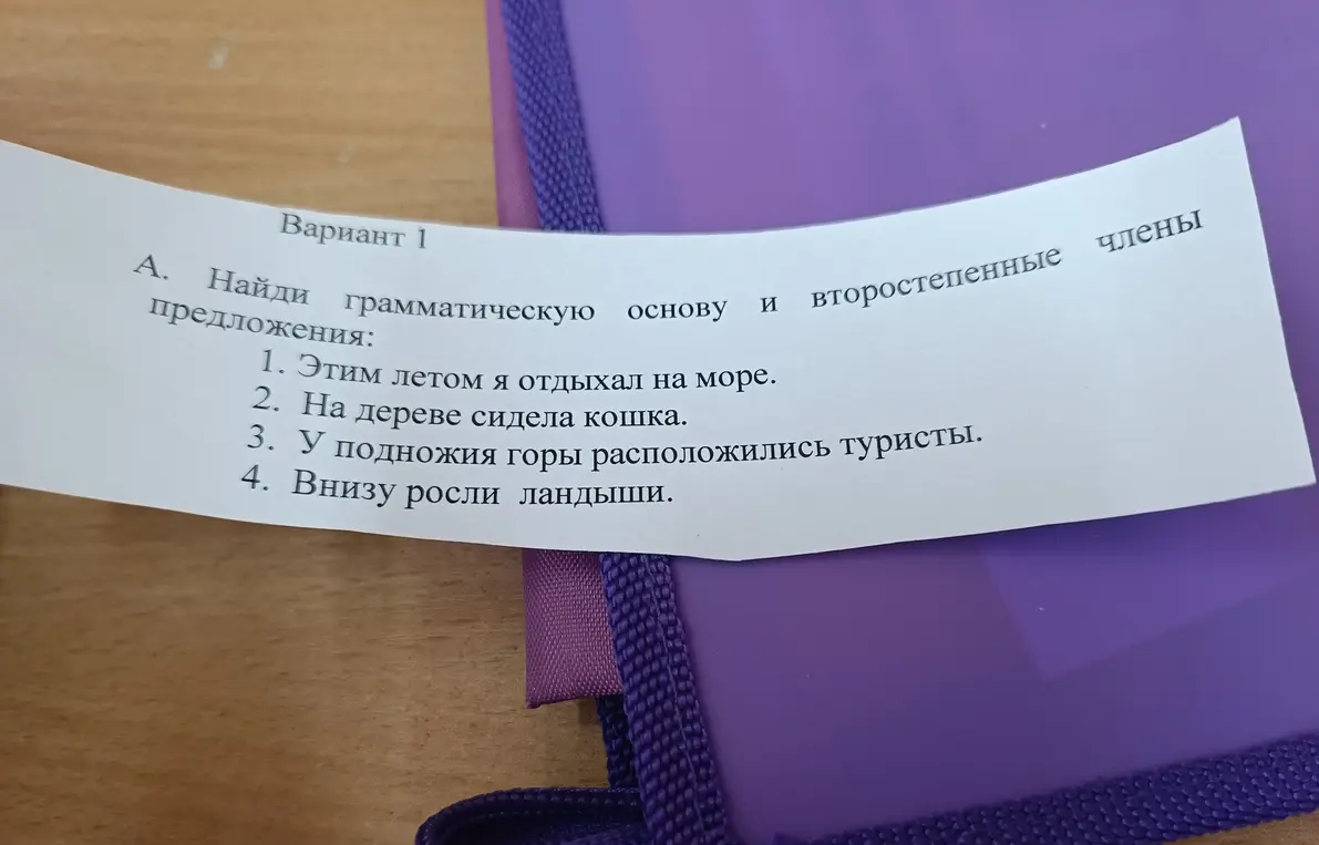Найди грамматическую основу и второстепенные члены предложения 'Этим летом я отдыхал на море'.