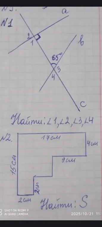 Найди углы ∠1, ∠2, ∠3, ∠4 и площадь фигуры.