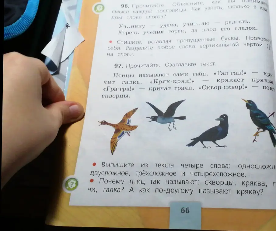 Выпиши из текста четыре слова: односложное, двусложное, трёхсложное и четырёхсложное. Ответь, почему птиц так называют: скворцы, кряква, грачи, галка. Ответь, как по-другому называют крякву?
