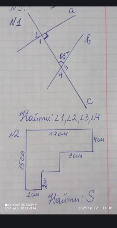 Найди углы ∠1, ∠2, ∠3, ∠4 и площадь фигуры S.