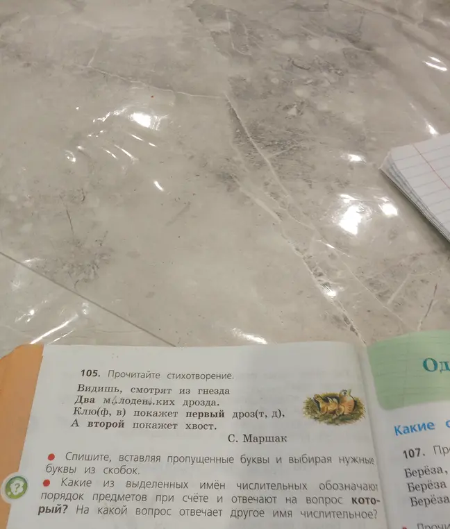 Какие из выделенных имён числительных обозначают порядок предметов при счёте и отвечают на вопрос который? На какой вопрос отвечает другое имя числительное?