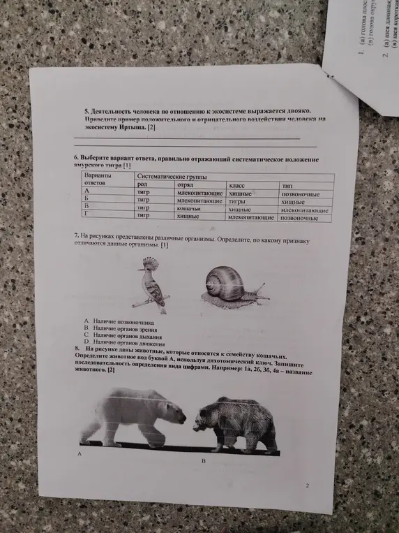 Приведи пример положительного и отрицательного воздействия человека на экосистему Иртыша.