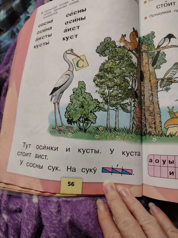 Поставь ударение в слове "суку".
