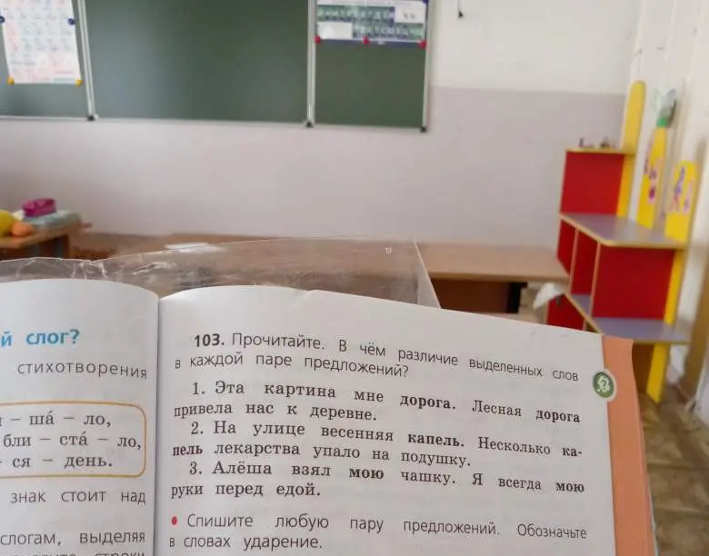 Прочитай пары предложений и объясни, в чём различие выделенных слов в каждой паре предложений.