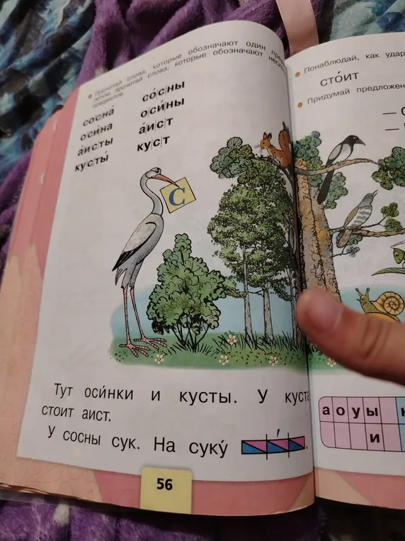 Выполни задания на странице учебника русского языка.