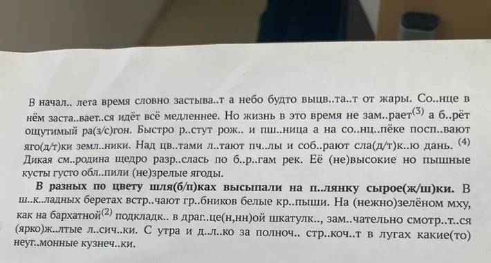 Вставь пропущенные буквы в тексте.