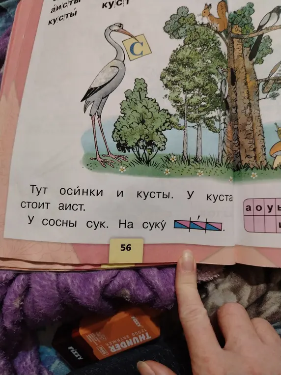 Прочитай слова и предложения на странице