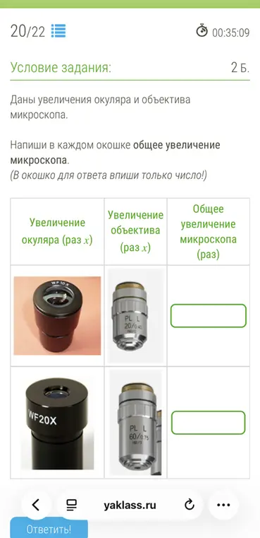 Напиши в каждом окошке общее увеличение микроскопа.