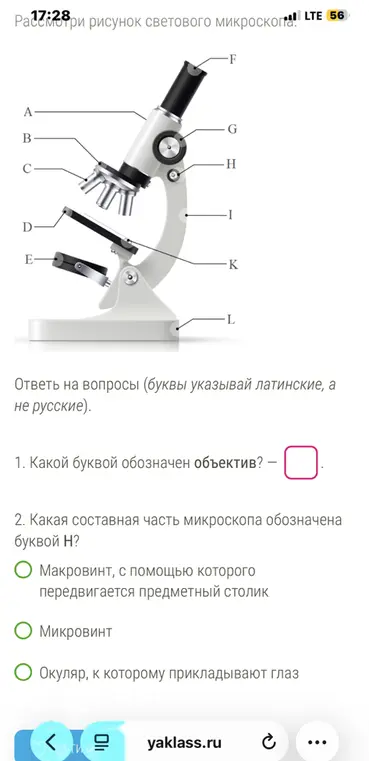 Ответь на вопросы про микроскоп по рисунку.